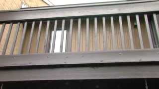 Montgomery County, Maryland, Deck Permits Online As of September 3, 2013
