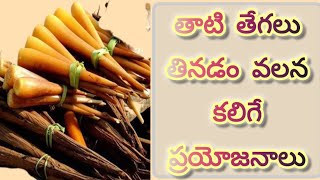 తాటి తేగలు ఆరోగ్యానికి చాలా మేలు చేస్తాయి#healthy#benifits🥖🥖