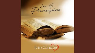 Los 6 Principios