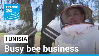 Busy bee business: The young Tunisians turning to beekeeping • FRANCE 24 English