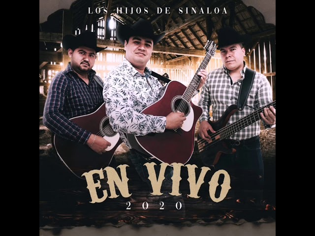 El Aguacate En Vivo Los Hijos De Sinaloa Song Lyrics Music Videos