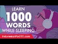 Indonesian Conversation: Learn while you Sleep with 1000 words