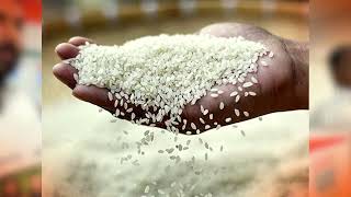 ANNA BHAGYA SCAM | ಸ್ಕ್ಯಾಮ್‌ ಸಿದ್ರಾಮ್‌.. | ಅನ್ನಭಾಗ್ಯ ಮಾಫಿಯಾ..! | Anna Bhagya Scheme Rice Sold  |