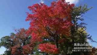 添田　英彦山で紅葉が見ごろ4K2020