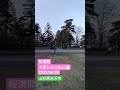 桜満開夕暮れの上杉公園 2022 04 20 山形県米沢市