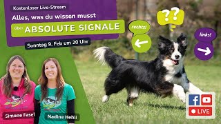 📢🔥 Live-Stream: Links \u0026 Rechts im Hoopers – macht dies Sinn für dich und deinen Hund? 🧐