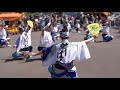 はなはるフェスタ2019・新ばし連_20190420_本場徳島阿波おどり awaodori in tokushima japan