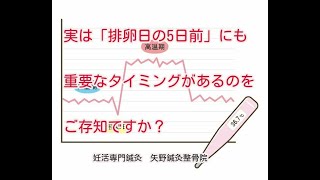 実は「排卵日の5日前」にもタイミング法の重要なタイミングがあるのをご存知ですか？