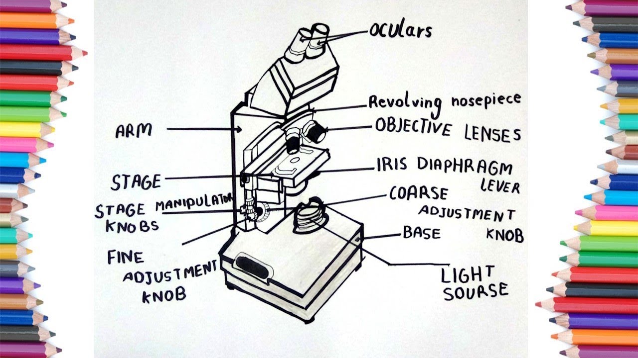 HOW TO DRAW MICROSCOPE - YouTube