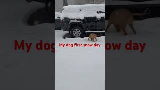 My first big snow day in 10 years