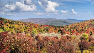When to expect fall colors to peak