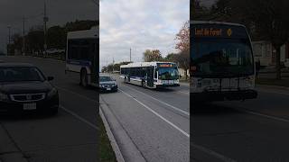 The Oldest Bus In The Fleet - Grand River Transit 2008 NovaBus LFS Diesel 8007 #shorts #transit