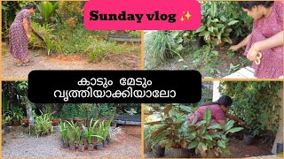 കാടും മേടും വൃത്തിയാക്കാം | Garden cleaning