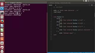 58 Shell Scripting Tutorial for Beginners 13 The case statement Example