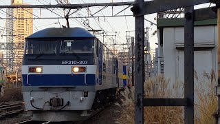 【押桃牽引カンガルーライナー】JR貨物 EF210-307号機+コキ20B 吹A121仕業[5061レ] 東福山行 花月園前踏切通過！