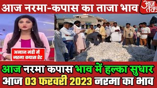 आज 03 फरवरी 2023 नरमा कपास का भाव| नरमा कपास भाव में हल्का सुधार| narma ka bhav, cotton prices today