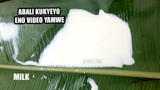 Abali Ebwelu ku Kyeyo Eno Video Yamwe Naaba Amatta Milk Ofune Emirembe Ekibuzo