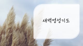 [일산신광교회] 22 07 09 토 새벽영성기도 호세아 11장 (박상규 목사)