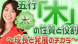 風水の基本・五行「木」の性質と役割～成長と発展のチカラ～