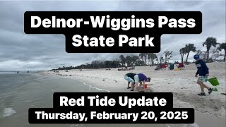 Robb’s Thursday Morning Delnor-Wiggins Pass State Park Beach Walk and Red Tide Update (02/20/25)