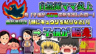 【2020年ｱﾒﾘｶ】子供が40℃の熱を出してるの!→「ハーブを飲ませて頭にキュウリを貼るといいよ」→子供の脳が〇亡『自然派ママ炎上事件』【ゆっくり解説】