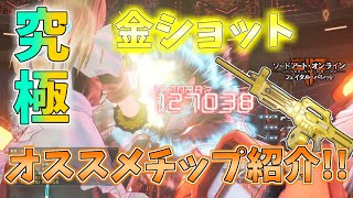 【RoyalGuardGold】こちらが妥協無し最強金ショットガンのパワーです!!【SAOFB】#259