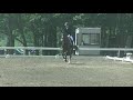 馬場馬術競技　l1課目　西村弥大選手×プレスト号