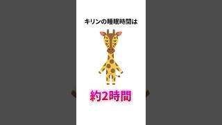 【アフリカゾウは〇〇！】意外と知らない動物の雑学3選