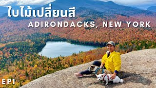 🍁🍂EP1 ใบไม้เปลี่ยนสี ที่ Adirondacks New York