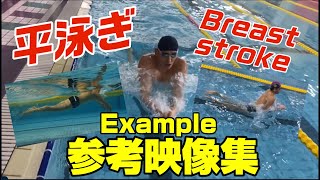 【平泳ぎ】参考動画まとめ【水中・陸上アングル】