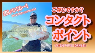 【今日のナンコ！2022.5.5】ご存じですか？コンタクトポイント【琵琶湖バス釣り】