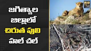 జగిత్యాల జిల్లాలో చిరుత పులి హల్ చల్ | Cheetah HulChul in Jagtial District | BIG TV