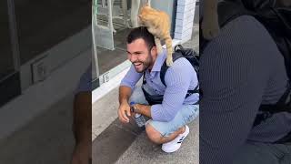 Cat adopts human 🐱