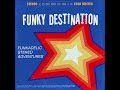 Funky Destination - Funkadelic Stereo Adventures (2016) funky breaks | electronic | funk | jazz