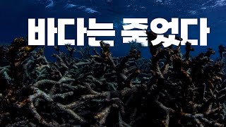 기후박사가 알려주는 바다이야기 (feat. 국립수산과학원)