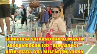 Luarbiasa burung cocak ijo \