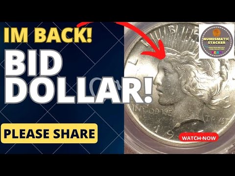 Peace Dollar Coin Review