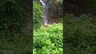 Kollam Bharati waterfalls 🏞️#beautiful #waterfalls #viralvideo