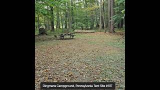 Dingmans Campground, Pennsylvania Tent Site #107