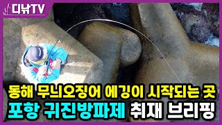 동해 무늬오징어 에깅이 시작되는 곳! 포항 귀진방파제 취재 브리핑 [디낚TV]