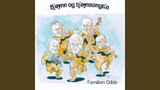 Buferd frå vinterlegon, lydarslått av Hans W. Brimi