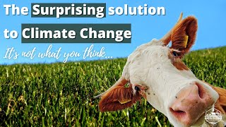 Can regenerative agriculture reverse climate change? - Regenerative Farming Solutions