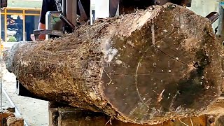 Puluhan tahun kayu ini terkubur || proses penggergajian kayu jati di sawmill
