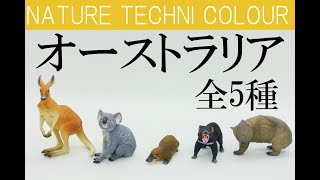 【ガチャ】ネイチャーテクニカラー　オーストラリア　開封レビュー