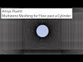 Ansys: Multizone Meshing for Flow past a Cylinder