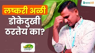 मका पिकातील लष्करी अळीच्या एकात्मिक व्यवस्थापन | maize lashkari ali | Fall arymworm