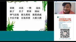 中文在线学习全球直播好姆（人教版）华文公开课第九期