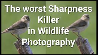 Your Photos Are Blurry Because of THIS. And Nobody Talks About It.