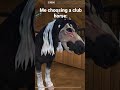 Me choosing my club horse 🙈😂 | #edit #sso #starstable #horse #relatable #funny #marwari  | 💖💖💖