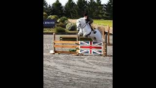 they ate 🤍 #harlow #horse #harlowandpopcorn #equestrian #views #viralvideo